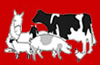 Link to  Okehampton Show Website